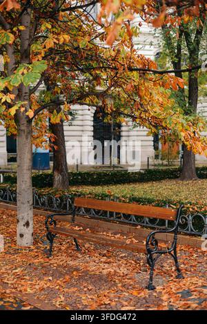 Banc de parc vide dans un parc urbain pendant l'automne Banque D'Images
