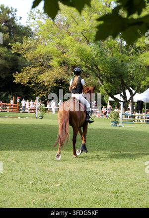 Cavalier sur un cheval brun marchant dans une arène enherbée, se préparant pour une compétition de saut d'obstacles avec des spectateurs. Bulgarie, Varna, 30 août Banque D'Images