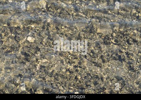Eau de mer claire et peu profonde coulant sur des rochers côtiers naturels par une journée ensoleillée. Réflexions chatoyantes et textures ondulées pour le marin, la nature. Douce lame de fond Banque D'Images