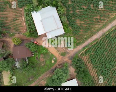 Vue aérienne de dessus d'une ferme rurale entourée de champs cultivés et de routes de terre. Agriculture à petite échelle, gestion des terres et agriculture tropicale Banque D'Images
