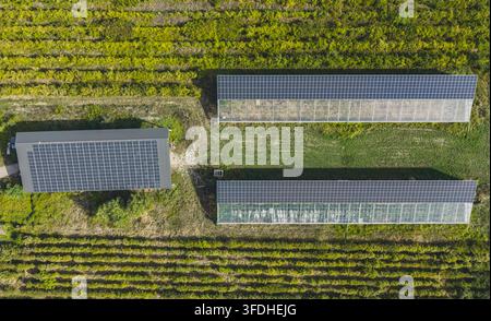 Vue aérienne de serres agrivoltaïques avec panneaux solaires installés sur les toits, entourées de terres agricoles luxuriantes et de rangées de cultures à Le Pouzin, Auvergne Banque D'Images