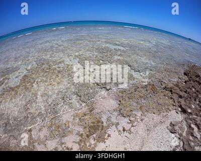 Recif corallien près d'une station balnéaire à Marsa Alam, Égypte. Eau de mer cristalline, coraux et palmiers Banque D'Images
