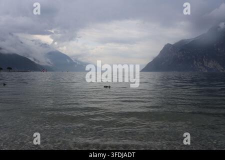 Matin brumeux et couvert au lac de Garde avec un canard nageant sur l'eau, les montagnes enveloppées de nuages bas, vu depuis Torbole, Italie Banque D'Images