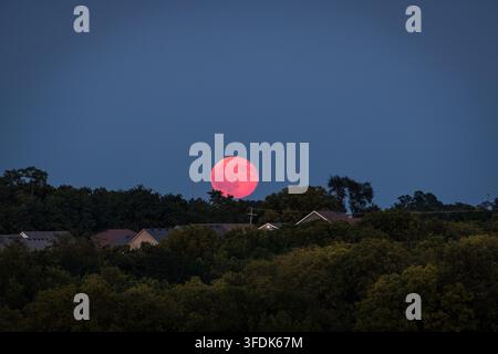 La pleine lune de l'esturgeon se levant au-dessus des collines boisées et du quartier résidentiel du Kentucky central Banque D'Images