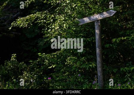 Panneau flèche en bois patiné avec texte cyrillique indiquant le chemin à côté de feuilles luxuriantes à l'ombre de la forêt, offrant une navigation rustique et un symbole simple de direction Banque D'Images