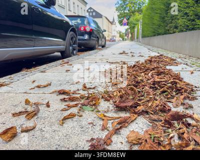 Feuilles d'automne tombées sur un trottoir urbain – Risque de glissade, sécurité des piétons et prévention des accidents Banque D'Images