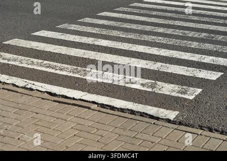Passage piétonne blanche sur route asphaltée Banque D'Images
