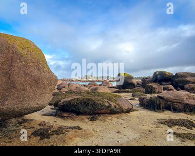 De grands rochers de granit recouverts de mousse verte dominent le rivage sablonneux de Tregastel sur la Côte de granit rose en Bretagne France sous la lumière changeante Banque D'Images