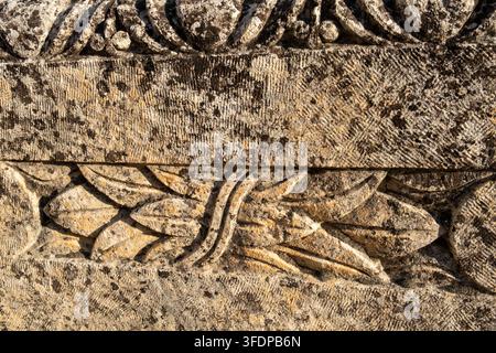 Bas-relief en pierre détaillé avec des feuilles stylisées Banque D'Images