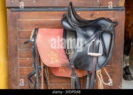 Selle anglaise en cuir noir associée à un coussinet de selle matelassé rouge accroché à une porte d'écurie en bois, entouré de harnais, d'étriers et de cordes créant Banque D'Images