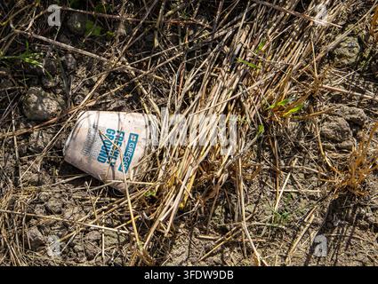 Gobelet jetable en papier abandonné dans l'herbe sèche et la terre craquelée, mettant en évidence les déchets au bord de la route et la pollution environnementale Banque D'Images