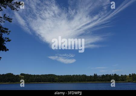 Grandes formations de nuages cirrus s'étendant sur un ciel bleu vif d'été au-dessus d'un réservoir et d'une rive lointaine bordée d'arbres dans le nord-ouest de l'Angleterre. Banque D'Images