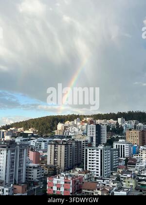 Arbres en fleurs roses le long d'une avenue urbaine à Quito, Équateur Banque D'Images