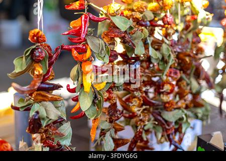 Guirlandes de piments séchés suspendus au marché en plein air. Guirlandes suspendues de piments rouges et orange séchés avec des feuilles vertes exposées sur un Banque D'Images