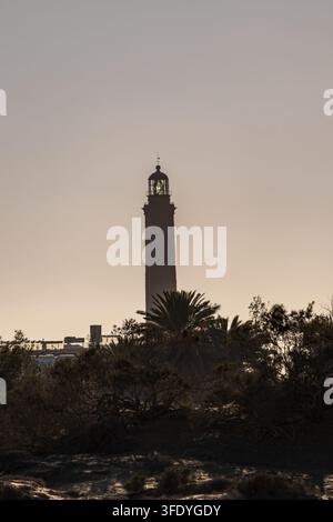 Le phare historique de Maspalomas s'élève au-dessus des palmiers et des dunes, se détachant sur un ciel brumeux du soir à Gran Canaria. Banque D'Images
