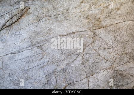 Texture de pierre naturelle grise avec de fines veines et fissures. Gros plan d'une pierre naturelle grise avec de fines veines brunes, des fissures et une texture minérale érodée. Banque D'Images