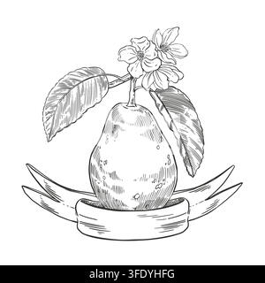Un poirier avec des feuilles, des fleurs et une bannière ruban. Une illustration vectorielle faite à la main à l'encre. Composition botanique pour étiquettes, emballages, confitures Illustration de Vecteur