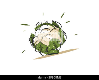 Illustration vectorielle dessinée à la main de chou-fleur frais, nourriture saine biologique avec des feuilles vertes, nutrition végétale végane isolée sur blanc Illustration de Vecteur