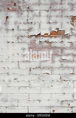Vue rapprochée verticale d'une surface murale en brique rouge et mortier peinte en blanc, érodée par les intempéries, avec de la peinture craquelée et écaillée, des briques altérées Banque D'Images