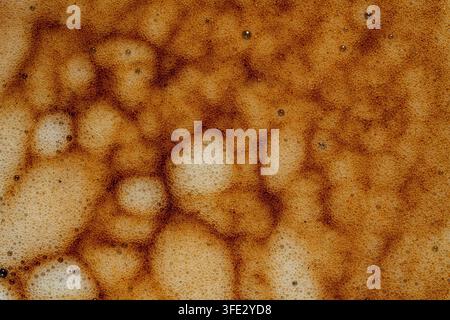 Macro de la texture de mousse de crème d'espresso frais. Arrière-plan en gros plan de la mousse de café brun intense avec des bulles sur un espresso fraîchement préparé Banque D'Images