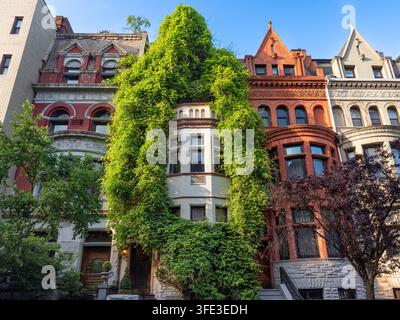 ÉTATS-UNIS, NEW YORK CITY, UPPER WEST SIDE. BROWNSTONES ET MAISONS DE VILLE AVEC PLANTES GRIMPANTES ET FEUILLAGE DANS LE QUARTIER HISTORIQUE DE CENTRAL PARK WEST Banque D'Images