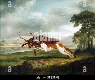 Chasse d’un cerf par un chien, (1762), Peinture de George Stubbs Banque D'Images