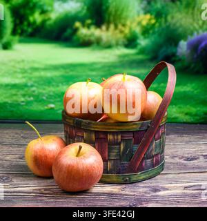 Nature morte automnale carrée avec des pommes Gala rouges et jaunes dans un petit panier à anse et deux pommes à côté sur une table en bois, avec un jardin flou b Banque D'Images