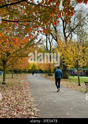 Un homme marche le long d'un chemin pavé à travers un parc paisible entouré d'un feuillage automnal coloré. Des feuilles orange, rouges, jaunes et vertes remplissent les arbres Banque D'Images