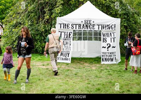 TENTE MYSTÉRIEUSE DE LA MARCHE DE FOIRE À UN FESTIVAL EN PLEIN AIR, REPORTAGE, FESTIVAL GREEN MAN 2018, BRECON, PAYS DE GALLES, ROYAUME-UNI, 2018 : Une mère et un enfant passent devant une tente blanche sur laquelle est inscrit „Voyez la Chose Étrange ! Qu’est-ce que c’est ?“ lors d’un festival en plein air. Photo : Rob Watkins. INFO : Le festival Green Man a débuté en 2003 au Pays de Galles. Il se tient chaque année dans les monts Brecon Beacons le troisième week-end d’août et célèbre la musique alternative, les arts, la littérature, la science et une culture familiale dans un magnifique cadre montagneux. Banque D'Images