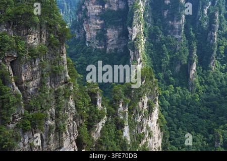 Vue panoramique des piliers de grès quartzique des montagnes Tianzi dans le parc national de Zhangjiajie, montagnes Avatar, montagnes Halleluja, Wulingyuan Banque D'Images