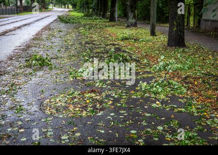 Feuilles emportées par le vent et branches cassées créent des conditions dangereuses le long d'une rue déserte Banque D'Images