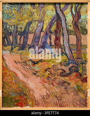 Chemin dans le jardin de l'asile, Saint-Rémy-de-Provence, novembre 1889, Vincent van Gogh (Zundert 1853 - Auvers-sur-Oise 1890), musée Kröller-Müller Banque D'Images