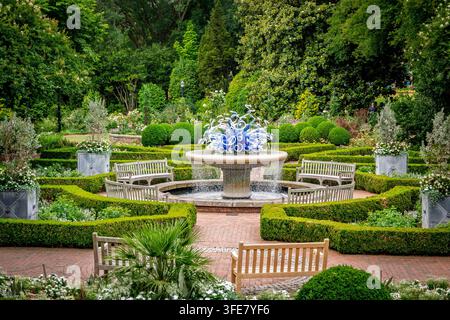 Atlanta, Géorgie – Mai 2026 : Une sculpture en verre bleu cobalt couronne une fontaine en pierre dans un jardin formel de buis au Jardin botanique d'Atlanta. Banque D'Images