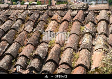 Anciens tuiles de toit en terre cuite recouvertes de mousse et de lichen sur un fond de maison traditionnelle à Vérone, Italie. Banque D'Images
