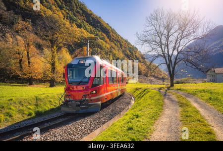 Train BERNINA Express dans la vallée ensoleillée d'automne, Suisse Banque D'Images