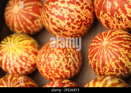 Melons décoratifs à rayures exposés sur un marché Banque D'Images
