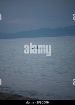 Personne (homme) nageant dans la mer au crépuscule avec une surface d'eau calme et ondulante et une silhouette de montagnes lointaines sur la ligne d'horizon en Grèce. Banque D'Images