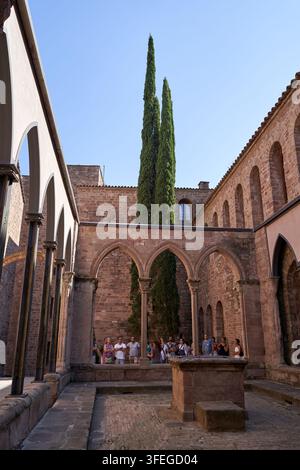 La vue extérieure d'un vieux bâtiment présente des passerelles en arc, des murs de pierre et de grands arbres minces qui s'élèvent vers le ciel. Banque D'Images