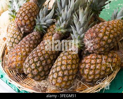Ananas frais avec des feuilles vertes exposés dans un panier tressé sur un marché en plein air Banque D'Images