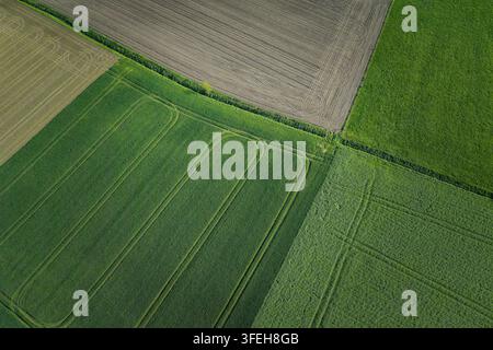 Vue aérienne montrant des champs agricoles variés verts et bruns avec des marques de culture créant un motif géométrique distinct, représentant l'agriculture Banque D'Images