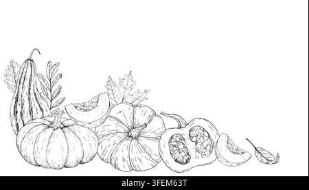 Cadre de citrouille vectorielle, modèle. Graines de légumes, logo graphique, illustration isolée dessinée à la main. Halloween-automne parfait pour la récolte et Thanksgiving Illustration de Vecteur