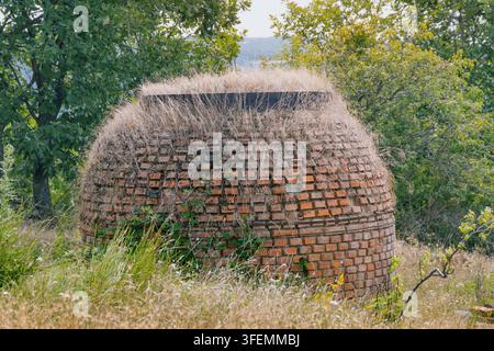 Structure en briques en forme de dôme envahie par la végétation sauvage dans un cadre rural. Banque D'Images