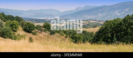 Vue panoramique sur une colline s'étendant sur des vallées vertes superposées, une prairie dorée, des fermes dispersées et un Danube lointain encadré par des montagnes brumeuses. Tr Banque D'Images