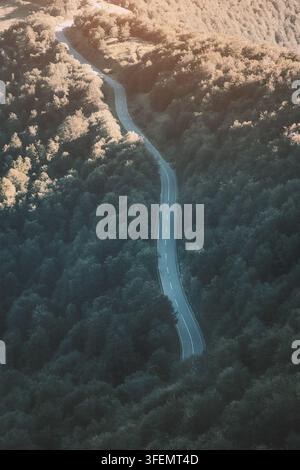 Vue aérienne de dessus d'une route sinueuse traversant une colline densément boisée. Concept de voyage routier et de nature. Banque D'Images