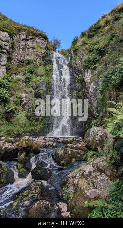Une petite cascade dévale un ravin rocheux couvert de fougères dans un ruisseau clair par une journée lumineuse dans les Highlands écossais Banque D'Images