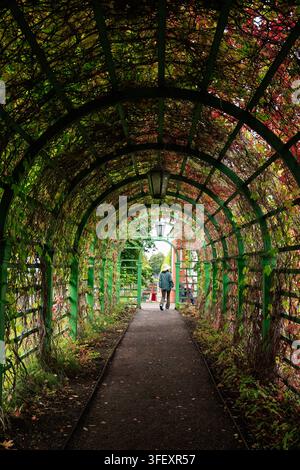 Tallinn, Estonie - 4 septembre 2026 : Un visiteur traverse un tunnel de treillis vert couvert de vignes au parc Kadriorg. Banque D'Images