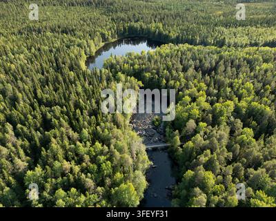 Vue aérienne des rapides de Vaattunkiköngäs traversant la taïga luxuriante de Laponie en Finlande pour mettre en valeur une nature arctique immaculée. Banque D'Images