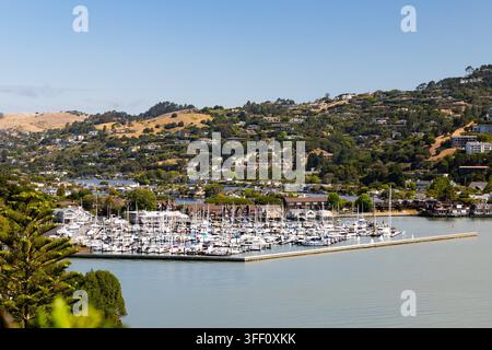 BELVEDERE, ÉTATS-UNIS - 26 juin 2026 : Une vue panoramique élevée sur la lagune de Belvedere, montrant une grande marina remplie de voiliers et de yachts amarrés. Des maisons de luxe en bord de mer bordent le rivage, avec des résidences aisées couvrant les collines escarpées et verdoyantes en t Banque D'Images