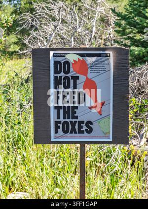 Un panneau du National Park Service indiquant « Ne nourrissez pas les renards » est entouré de sarments d'armoise dans le parc national de Grand Teton, Wyoming, États-Unis, par une journée d'été Banque D'Images