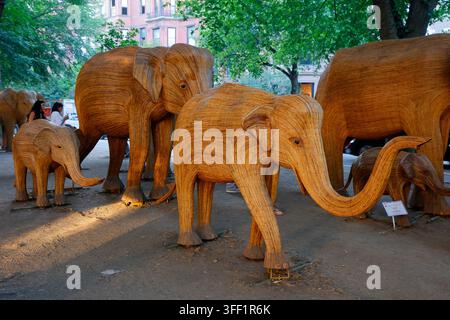 L'exposition artistique de la Grande Migration des Éléphants sur Commonwealth Avenue, Boston, Massachusetts. Sculptures, répliques fidèles de 100 éléphants sauvages Banque D'Images